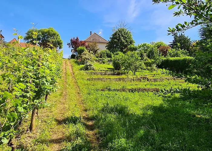 La Maison De Paul Casa de Férias *
